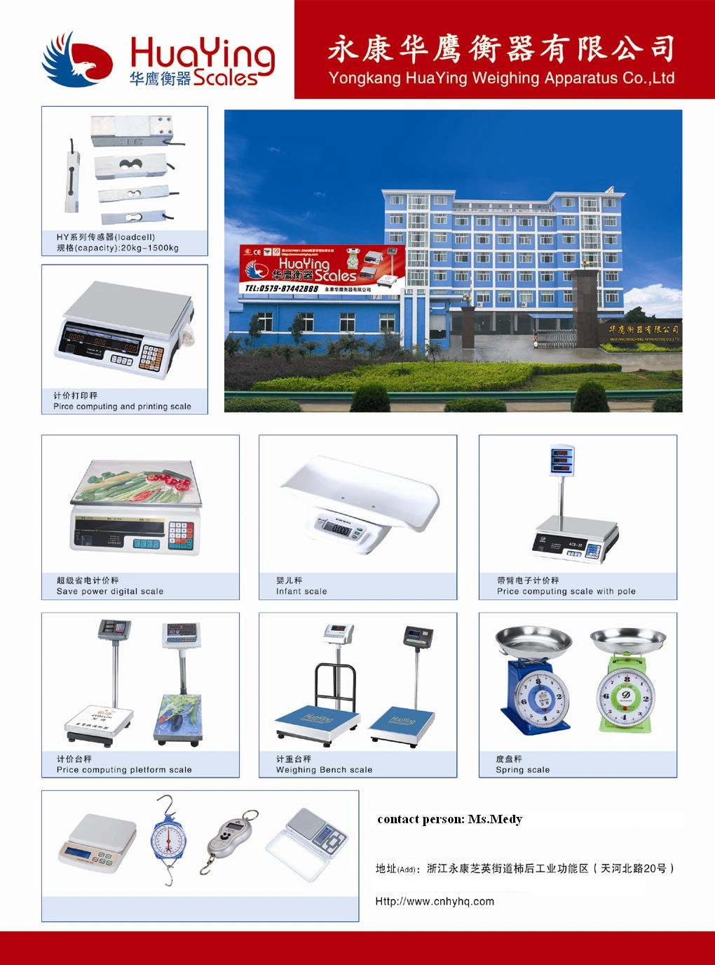 Professional Chinese Supplier Industrial Digital Electronic Scales